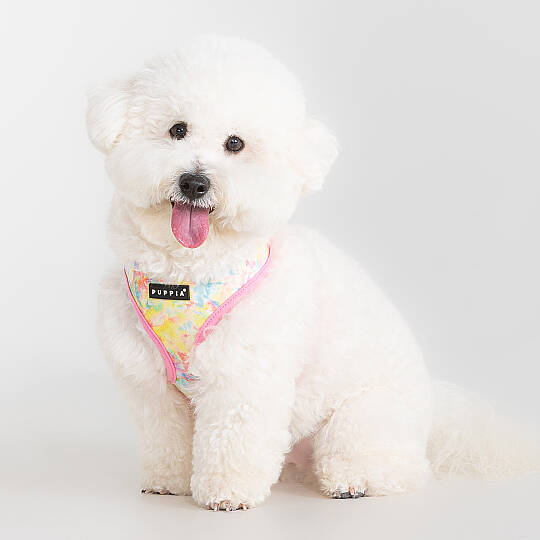 NOLA HARNESS A / PINK - 3