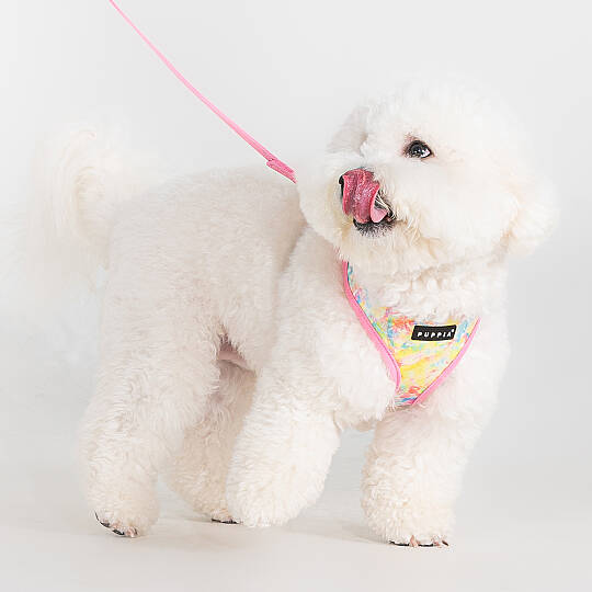 NOLA HARNESS A / PINK - 4