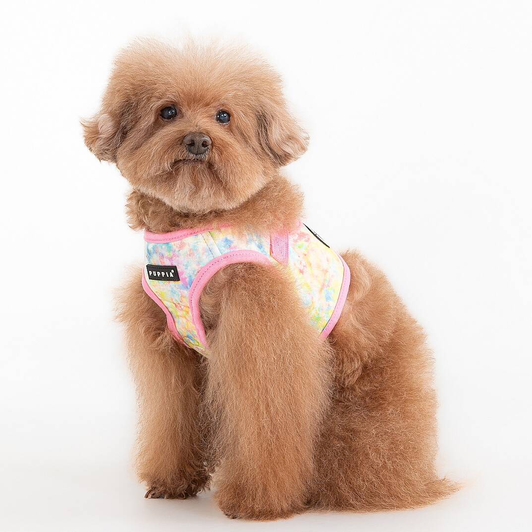 NOLA HARNESS B / PINK - 5