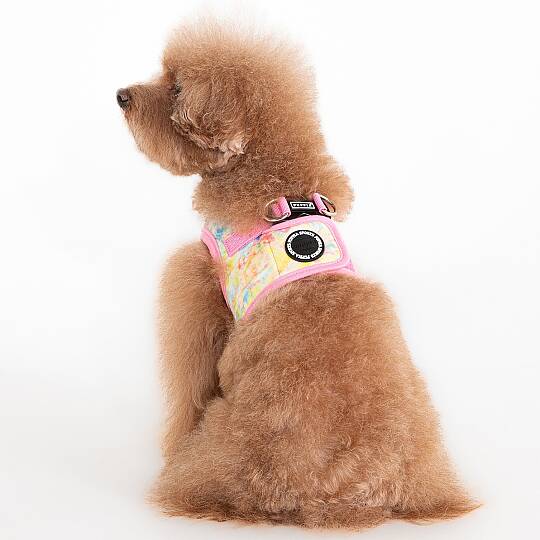 NOLA HARNESS B / PINK - 6