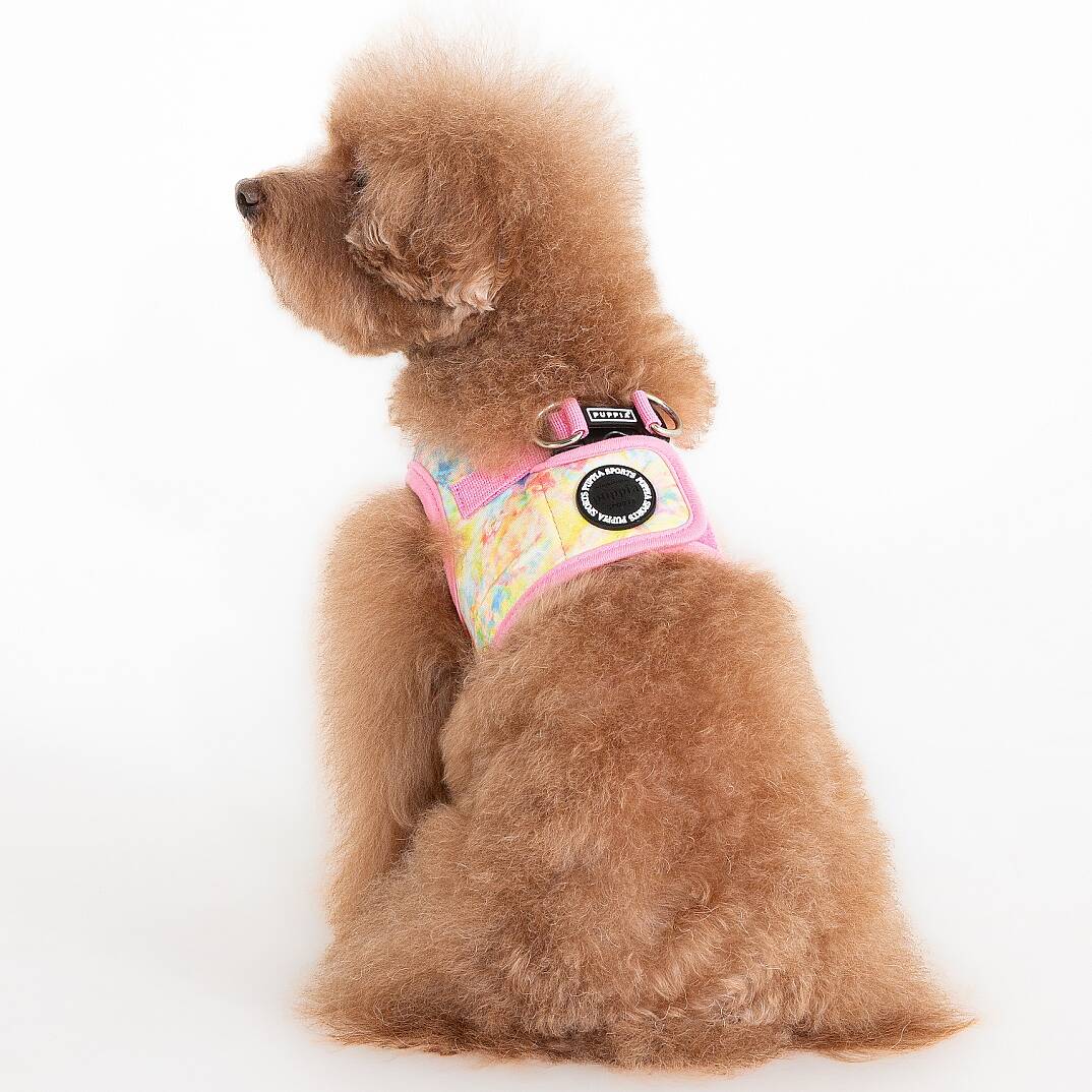 NOLA HARNESS B / PINK - 6