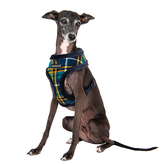 NORMAN HARNESS A/NAVY/PAWD-HA1985-NY - 9