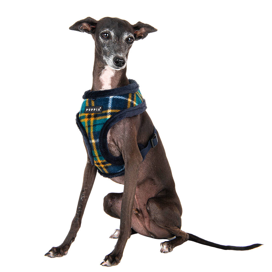 NORMAN HARNESS A/NAVY/PAWD-HA1985-NY - 9