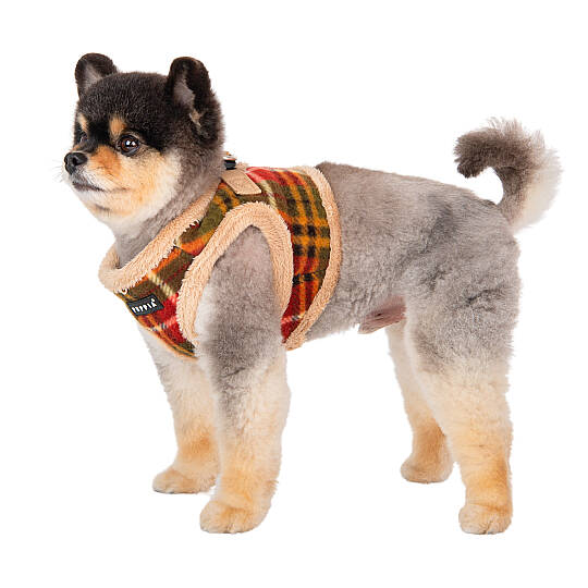 NORMAN HARNESS B/BEIGE/PAWD-HB1985-BE - 8