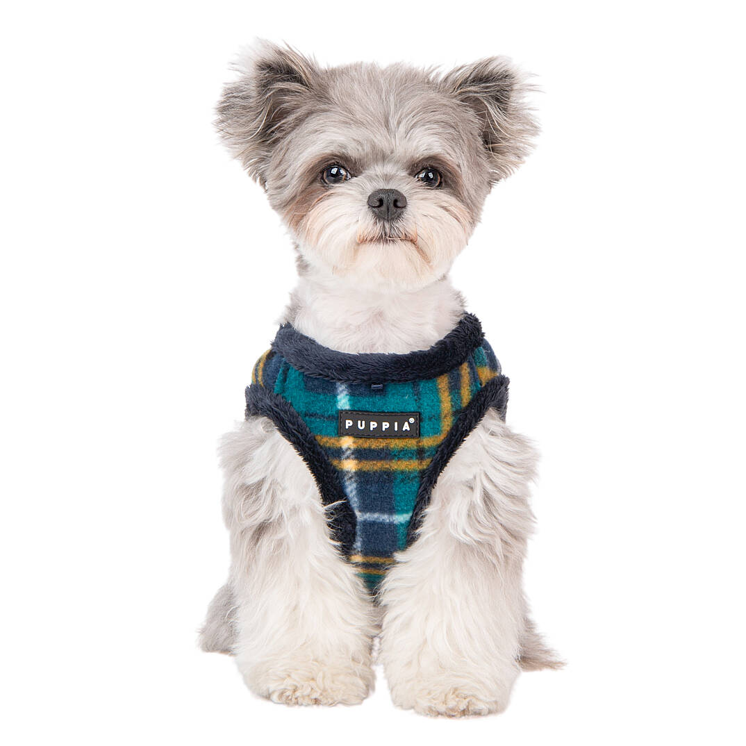 NORMAN HARNESS B/NAVY/PAWD-HB1985-NY - 8