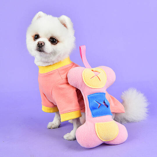 Nosework Bone toy/PINK - 2