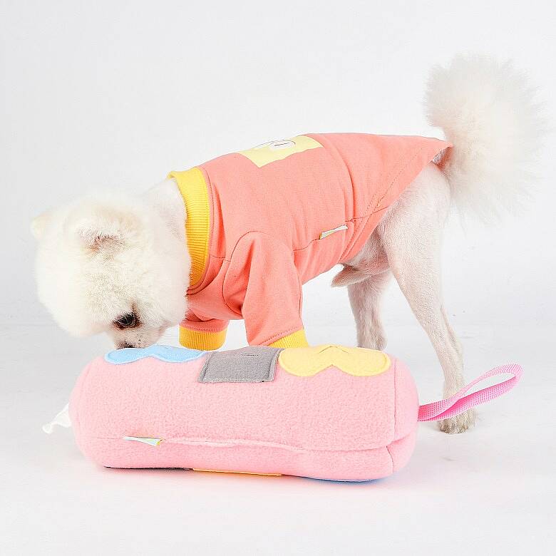 Nosework Cylinder toy/PINK - 2