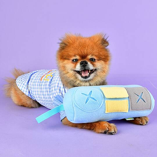 Nosework Cylinder toy/SKY BLUE - 2