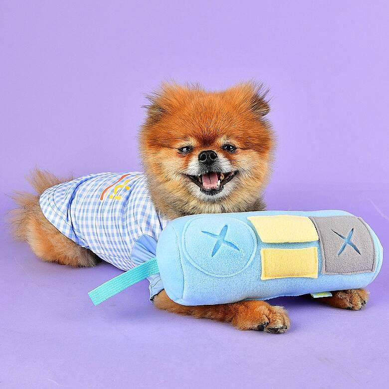 Nosework Cylinder toy/SKY BLUE - 2
