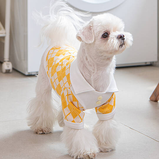 OLCHI ARGYLE COLLAR KNIT / YELLOW - 5
