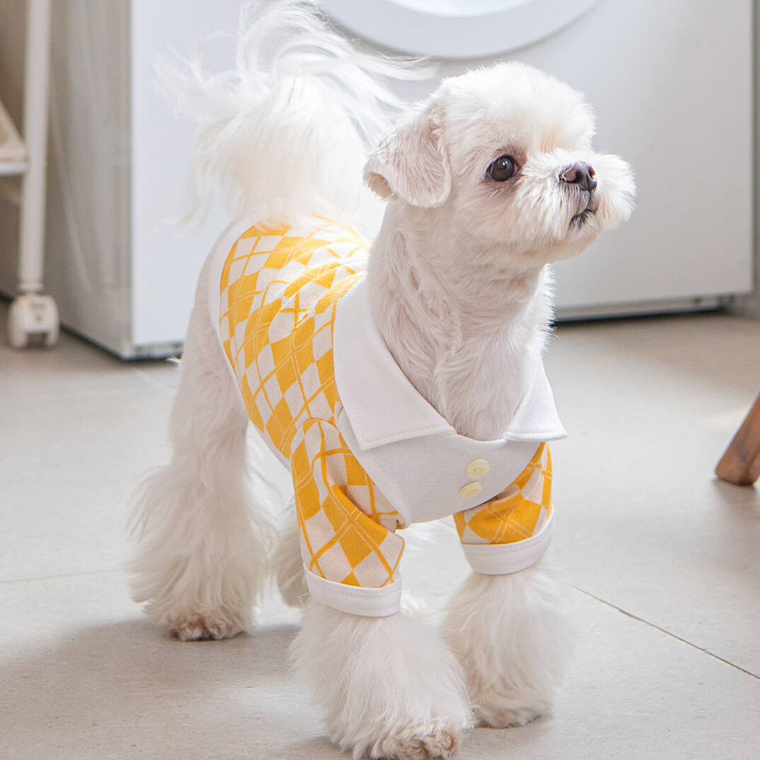 OLCHI ARGYLE COLLAR KNIT / YELLOW - 5