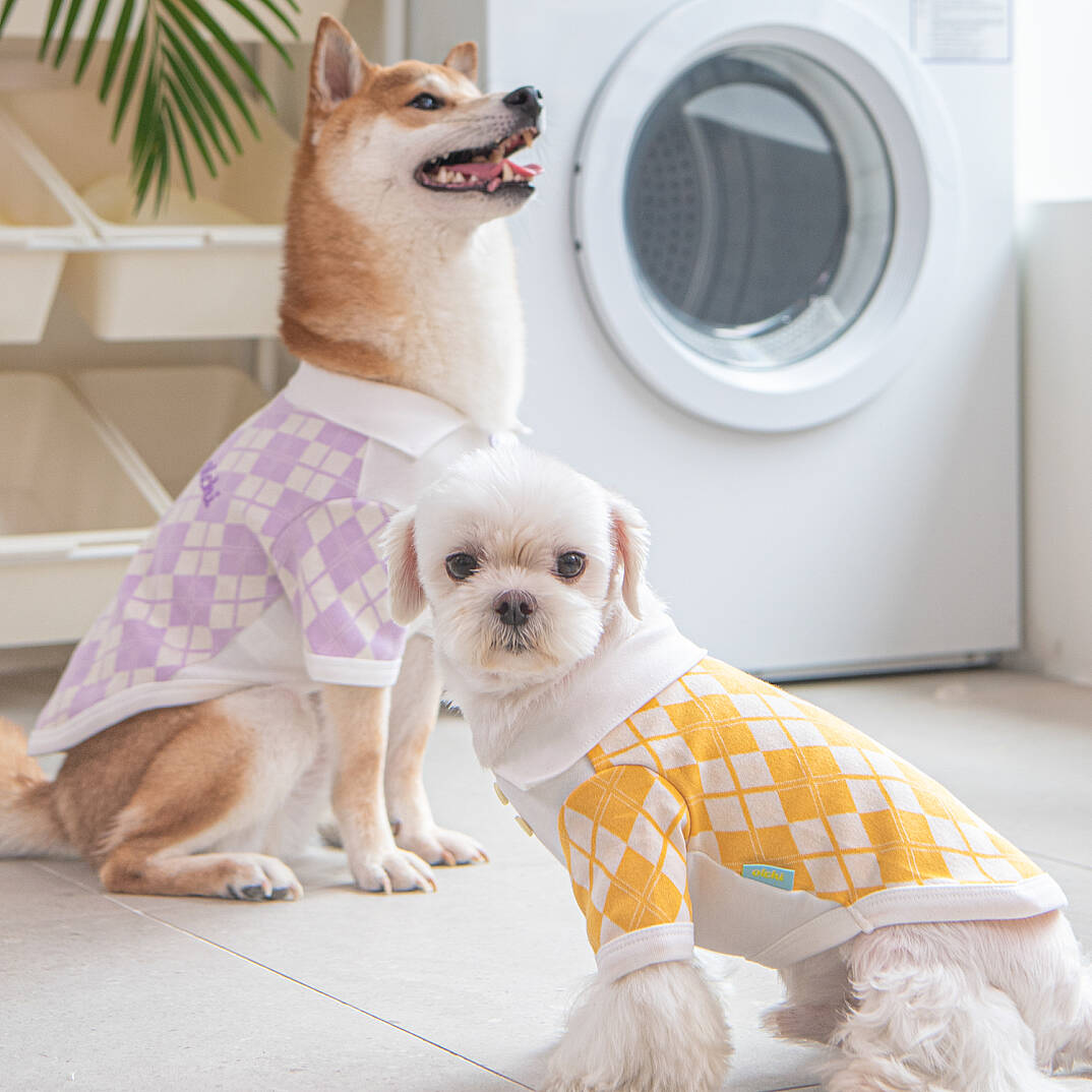 OLCHI ARGYLE COLLAR KNIT / YELLOW - 6
