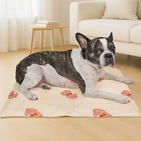OLCHİ BEAR COOL MAT/IVORY - 4