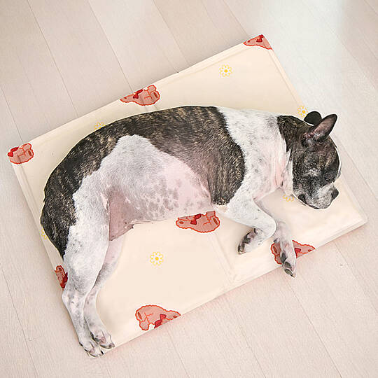 OLCHİ BEAR COOL MAT/IVORY - 5