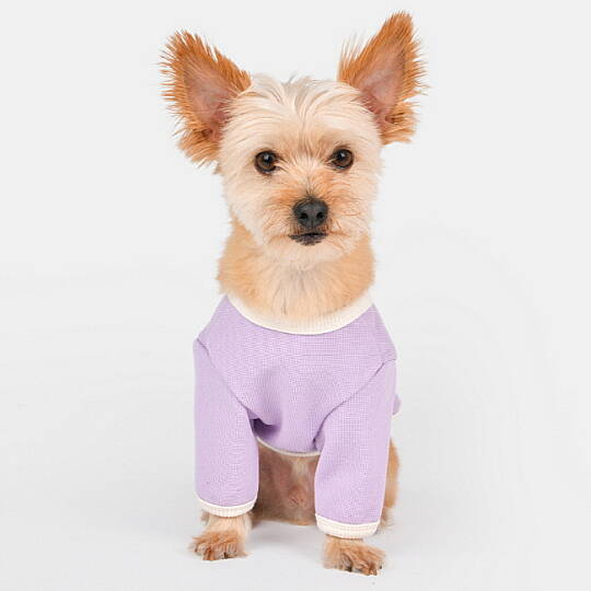 OLCHI CHERRY BUTTON / PURPLE - 5