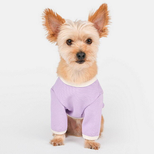 OLCHI CHERRY BUTTON / PURPLE - 5