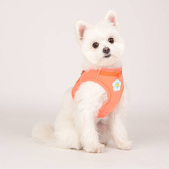 OLCHI FLOWER HARNESS/ORANGE - 4