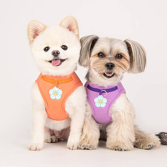 OLCHI FLOWER HARNESS/ORANGE - 5