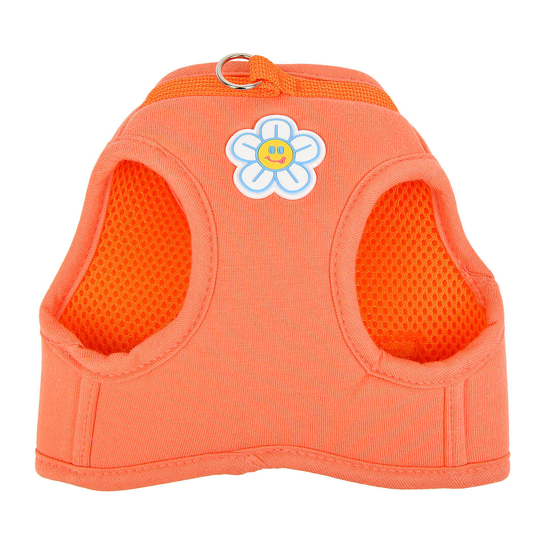 OLCHI FLOWER HARNESS/ORANGE - 2