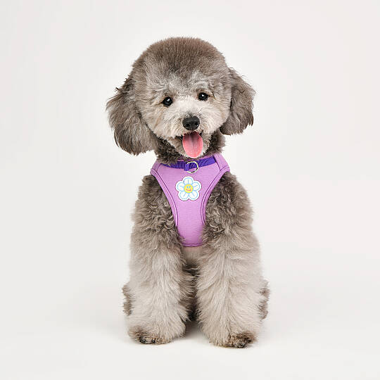 OLCHI FLOWER HARNESS/PURPLE - 4