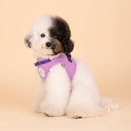 OLCHI FLOWER HARNESS/PURPLE - 5