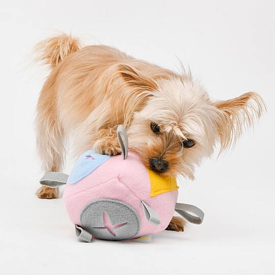 OLCHI NOSEWORK BALL/PINK - 6