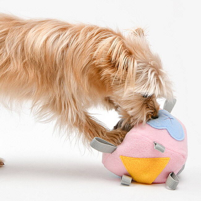 OLCHI NOSEWORK BALL/PINK - 7