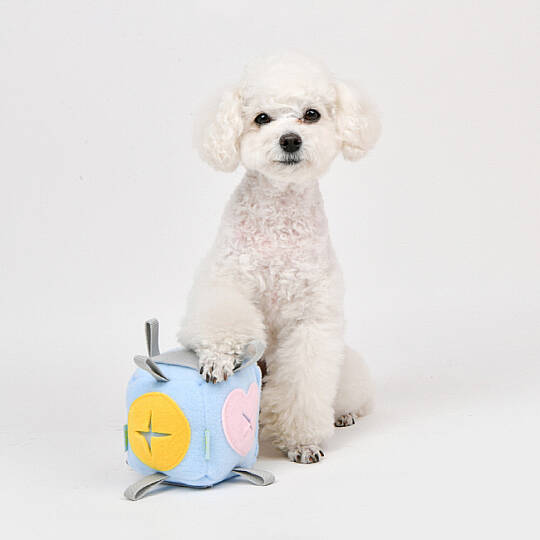 OLCHI NOSEWORK BALL/SKY BLUE - 5