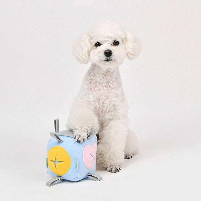 OLCHI NOSEWORK BALL/SKY BLUE - 5
