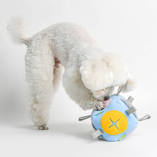 OLCHI NOSEWORK BALL/SKY BLUE - 6