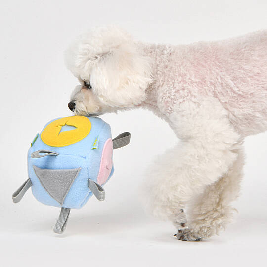 OLCHI NOSEWORK BALL/SKY BLUE - 7
