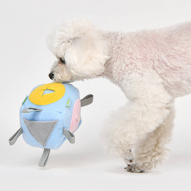OLCHI NOSEWORK BALL/SKY BLUE - 7