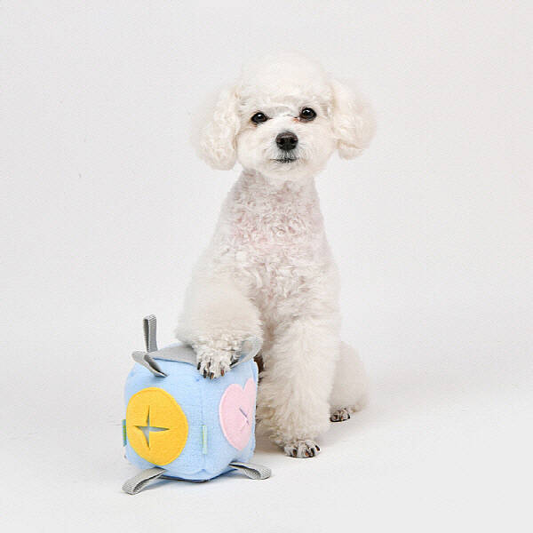 OLCHI NOSEWORK BALL/SKY BLUE - 8