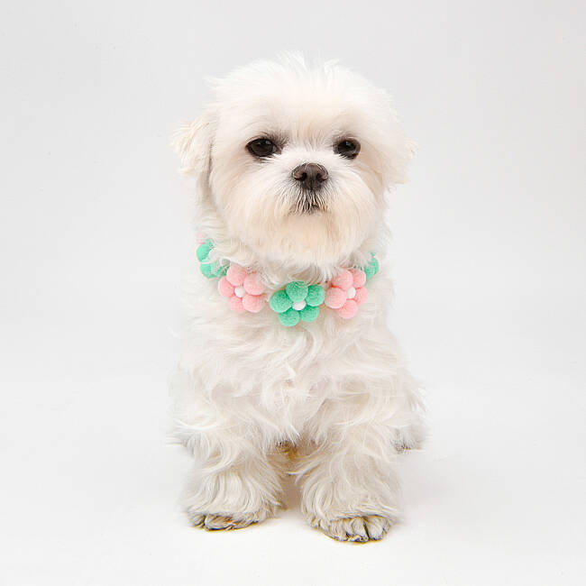 OLCHI POM POM FLOWER NECKLACE/GREEN - 5