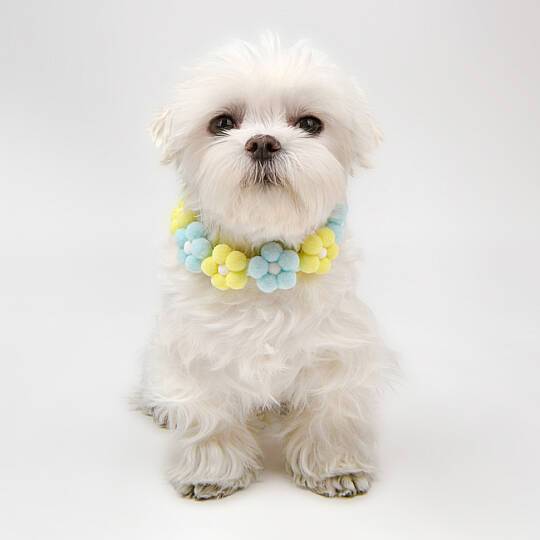 OLCHI POM POM FLOWER NECKLACE/YELLOW - 5