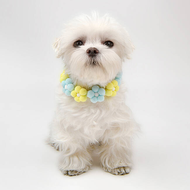 OLCHI POM POM FLOWER NECKLACE/YELLOW - 5