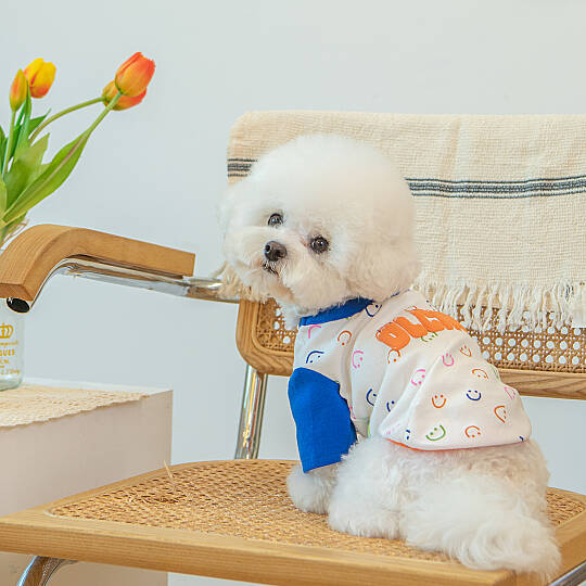 Olchi Smiley/WHITE - 7