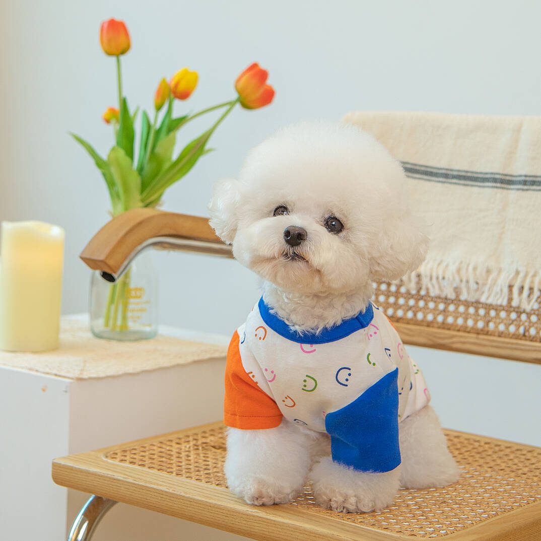 Olchi Smiley/WHITE - 8