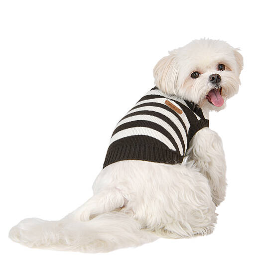 OLLIE / CHARCOAL GREY - 7