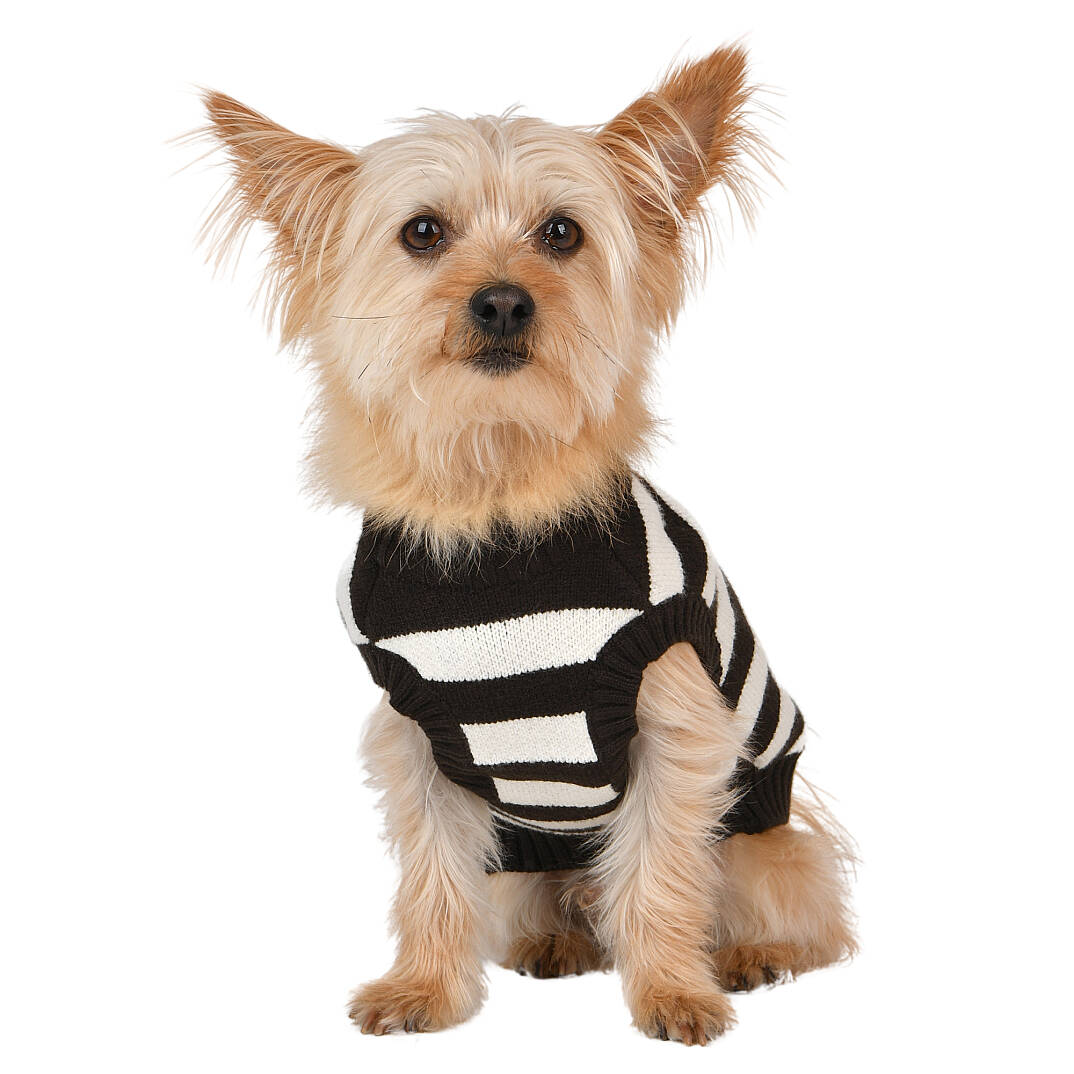 OLLIE / CHARCOAL GREY - 8