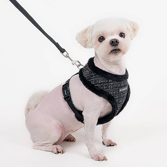OSCAR HARNESS A PAZD-HA2269-BK - 6