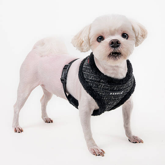 OSCAR HARNESS A PAZD-HA2269-BK - 5