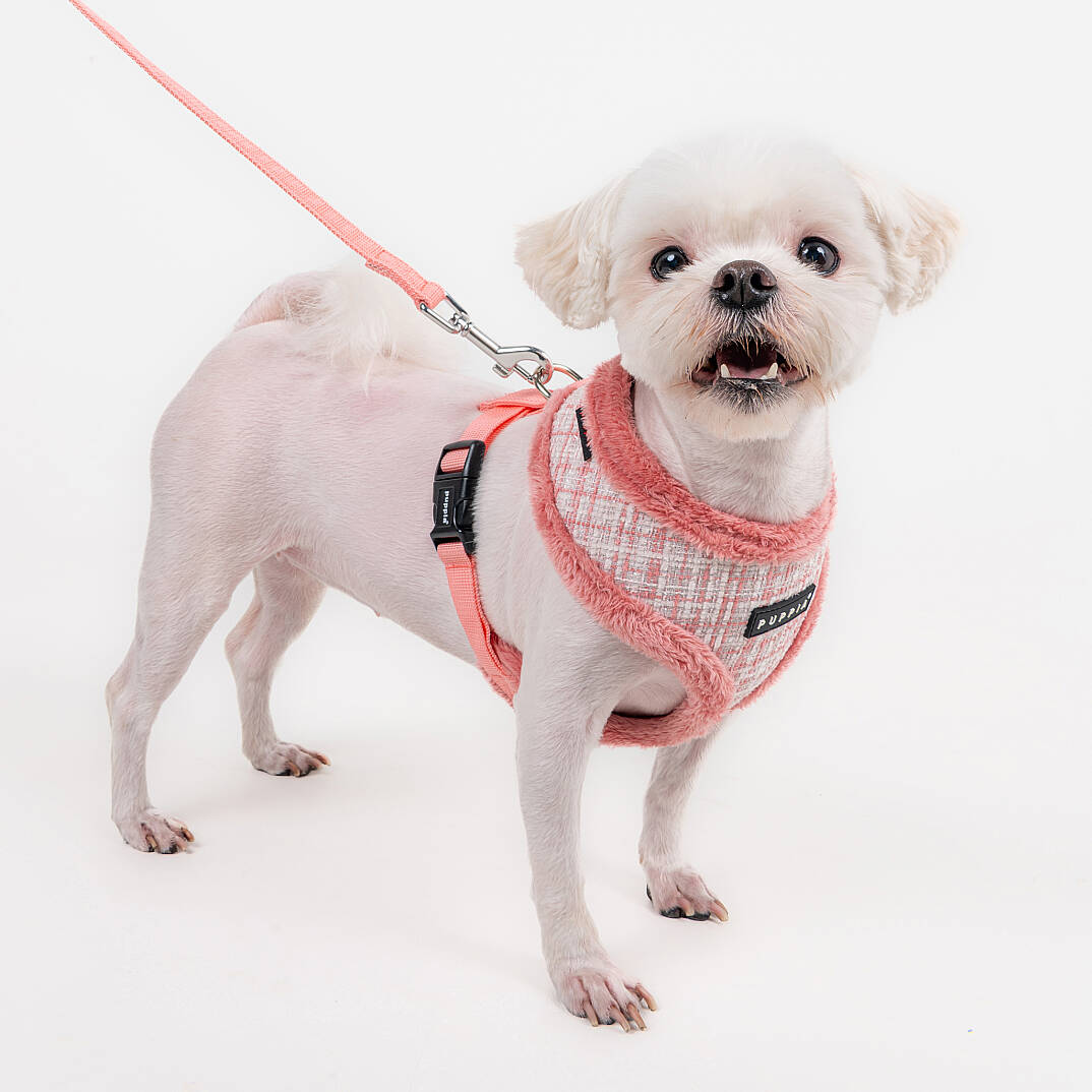 OSCAR HARNESS A PAZD-HA2269-IP - 5