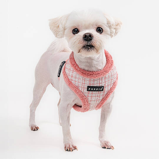 OSCAR HARNESS A PAZD-HA2269-IP - 6