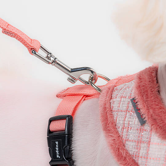 OSCAR HARNESS A PAZD-HA2269-IP - 3