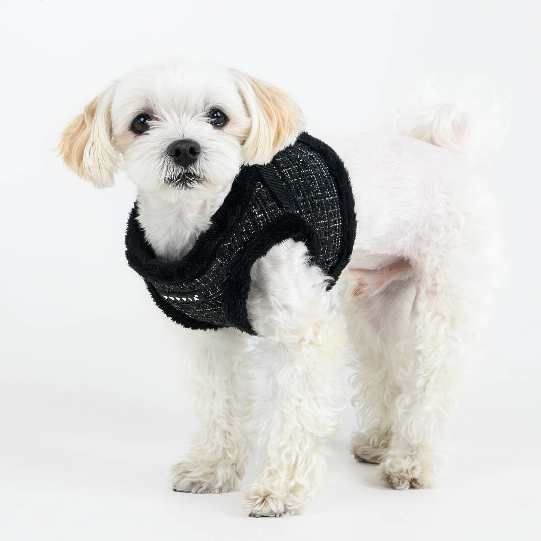 OSCAR HARNESS B PAZD-HB2269-BK - 7