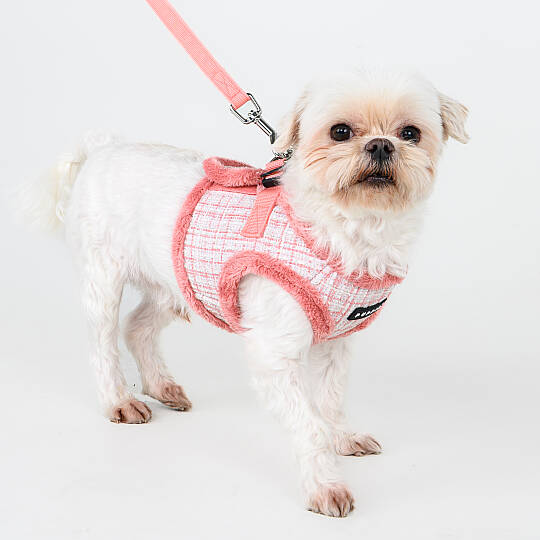 OSCAR HARNESS B PAZD-HB2269-IP - 5