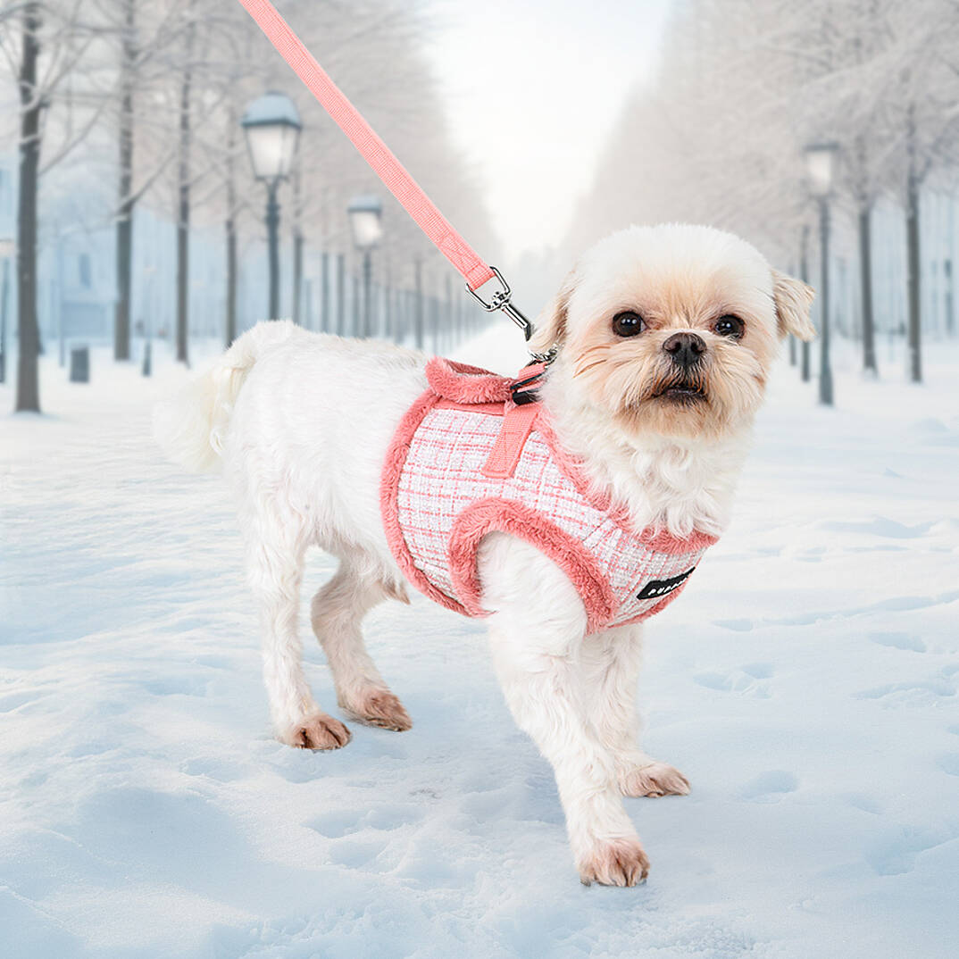 OSCAR HARNESS B PAZD-HB2269-IP - 6