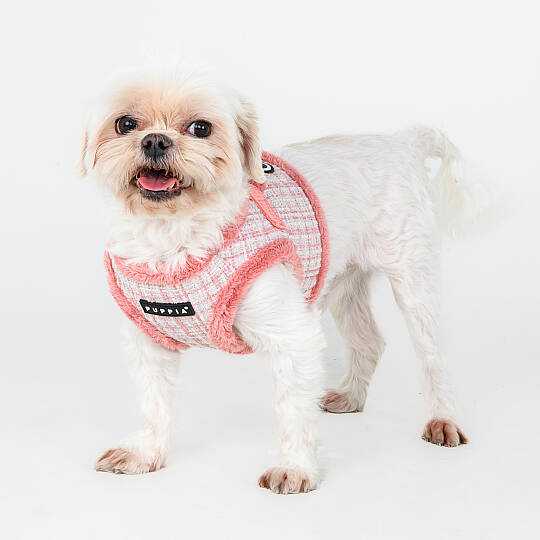 OSCAR HARNESS B PAZD-HB2269-IP - 7