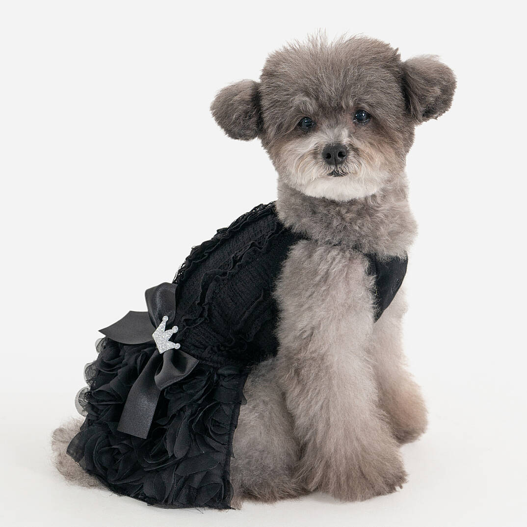 OTELIA / BLACK - 4